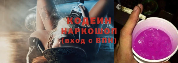 шишки Дмитровск